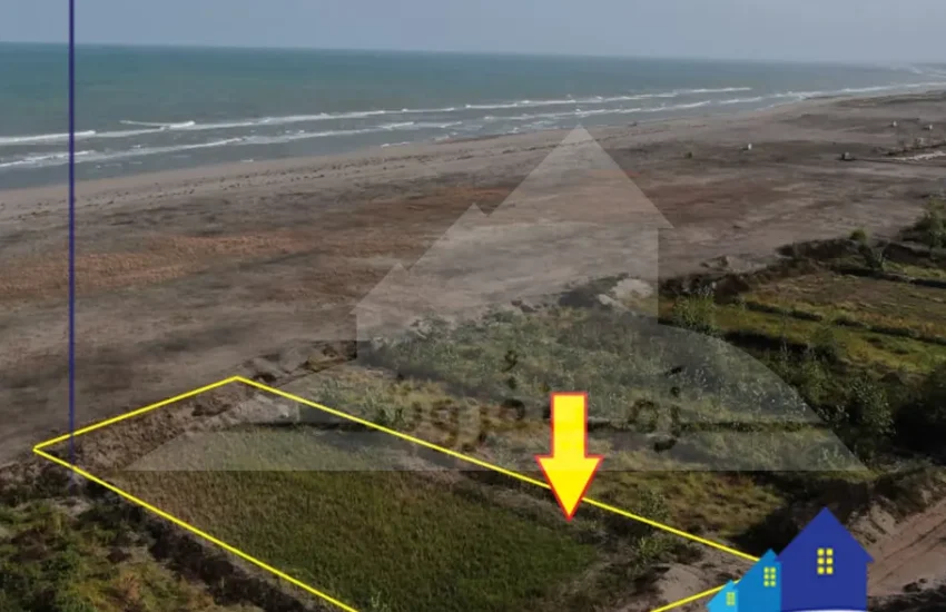 2000 متر زمین کشاوری